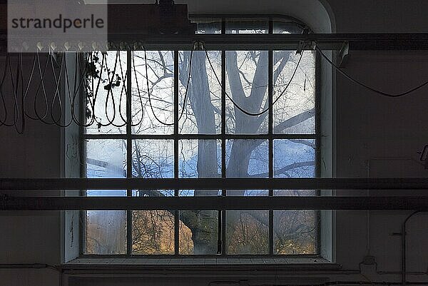 Blick aus einem Fabrikenster einer ehemaligen Papierfabrik  Lost Place  Baden-Württemberg  Deutschland  Europa