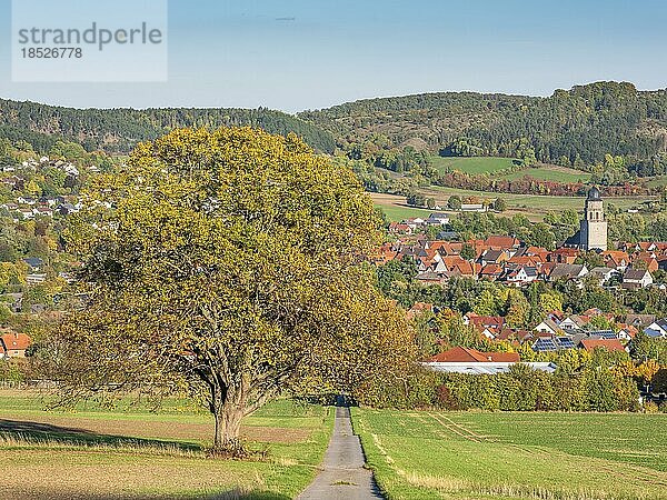 Ausblick auf die Stadt Zierenberg im Herbst  Habichtswald  Hessen  Deutschland  Europa