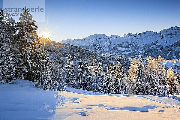 Winterlicher Sonnenaufgang mit Blick von der Ibergeregg zu den Innerschweizer Alpen im Kanton Schwyz  Schweiz  Europa