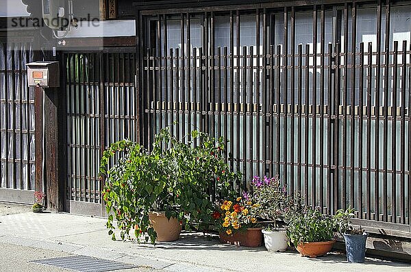 Hausfassade  Topfblume in der traditionellen Kleinstadt Narai juku in Nagano Japan