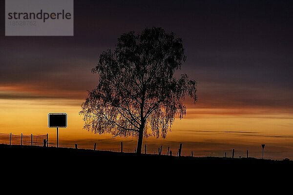 Ein Ortseingangsschild und ein Baum zeichnen sich ab als Silhouette vor der untergehenden Sonne  aufgenommen in Ober-Prauske  13.04.2023.  Ober-Prauske  Deutschland  Europa