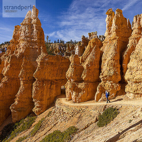 Vereinigte Staaten  Utah  Bryce-Canyon-Nationalpark  ältere blonde Frau beim Wandern