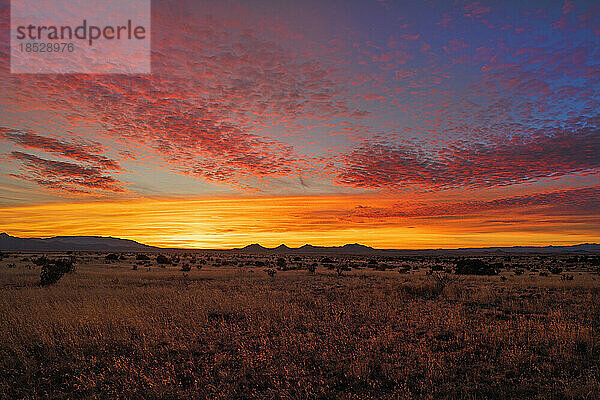 Vereinigte Staaten  New Mexico  dramatischer orangefarbener Himmel über Cerrillos bei Sonnenuntergang