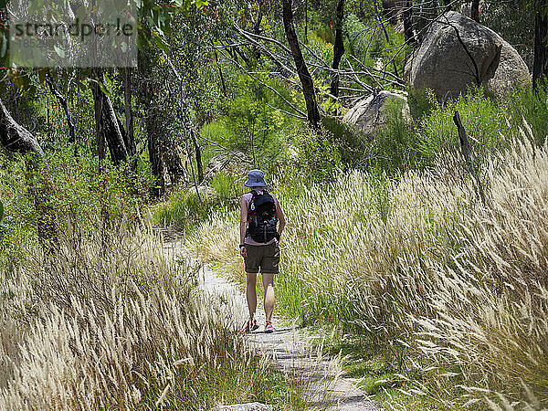Australien  Queensland  Girraween-Nationalpark  Rückansicht einer Frau beim Wandern auf einem Pfad in der Wildnis