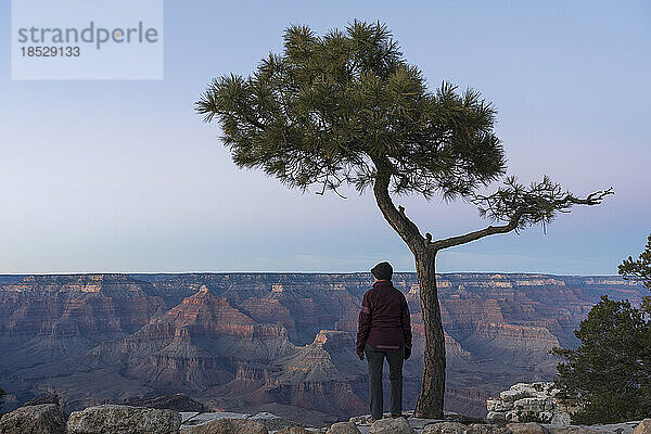 Vereinigte Staaten  Arizona  Grand-Canyon-Nationalpark  Südrand  ältere Wanderin steht unter einem Baum