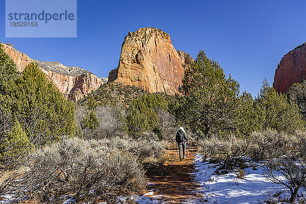 Vereinigte Staaten  Utah  Zion-Nationalpark  ältere blonde Frau beim Wandern