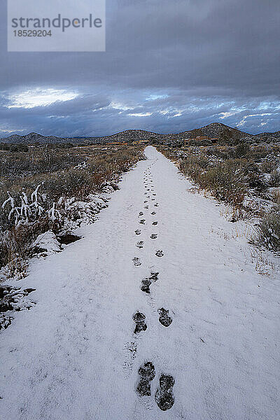 USA  New Mexico  Santa Fe  Fußspuren im Schnee unter bewölktem Himmel