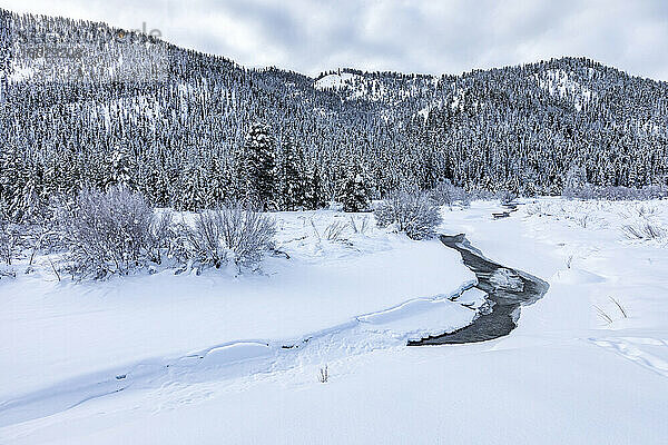 Vereinigte Staaten  Idaho  Ketchum  Winterlandschaft mit Fluss und Bergen