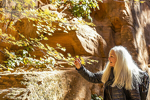 Vereinigte Staaten  Utah  Zion-Nationalpark  ältere blonde Frau blickt auf Felsen