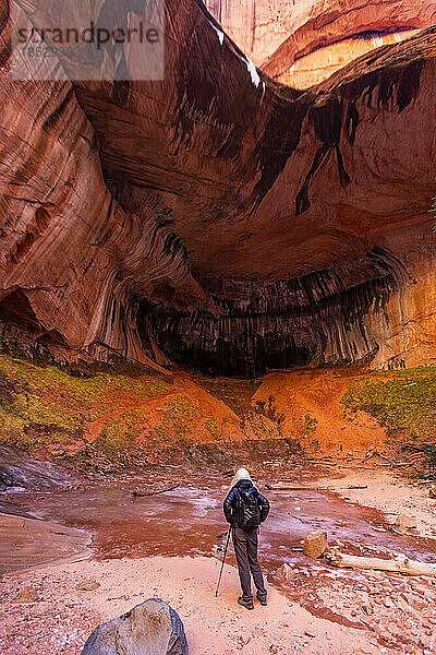 Vereinigte Staaten  Utah  Zion-Nationalpark  ältere blonde Frau beim Wandern