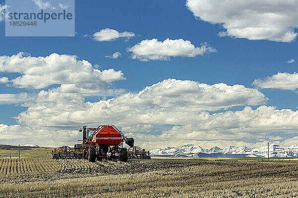 Traktor und Sämaschine  Aussaat eines Feldes mit schneebedeckten Bergen in der Ferne mit Wolken und blauem Himmel  westlich von High River  Alberta; Alberta  Kanada