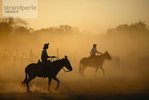 Cowboys als Silhouette in einer glühenden Staubwolke; Pantanal  Brasilien