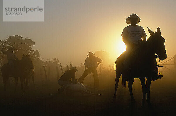 Cowboys als Silhouette gegen die untergehende Sonne; Pantanal  Brasilien