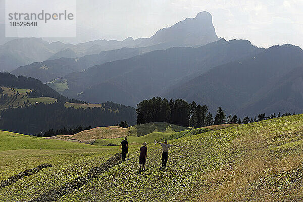 Bauernfamilie auf dem Heimweg nach der Feldarbeit in La Val  mit Blick auf die Dolomiten; La Val  Südtirol  Italien