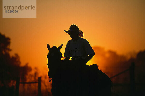 Cowboy als Silhouette gegen die untergehende Sonne; Pantanal  Brasilien