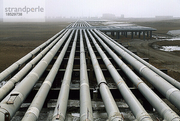 Trans-Alaska-Pipelines an einem Ölfeld in Alaskas North Slope; North Slope  Alaska  Vereinigte Staaten von Amerika