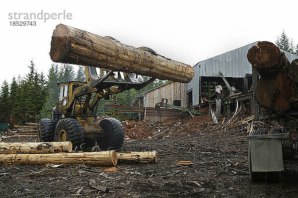 Holz wird zu Zedernholzschindeln und Schnittholz verarbeitet; Prince of Wales Island  Alaska  Vereinigte Staaten von Amerika