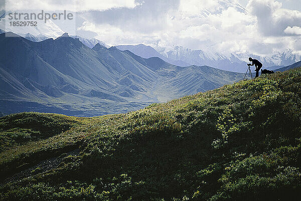 Alles in sich aufnehmen. Ein Fotograf in Alaska baut sein Stativ auf  um die prächtigen 20.000-Fuß-Gipfel des Mt. McKinley im Denali National Park and Preserve zu fotografieren; Alaska  Vereinigte Staaten von Amerika