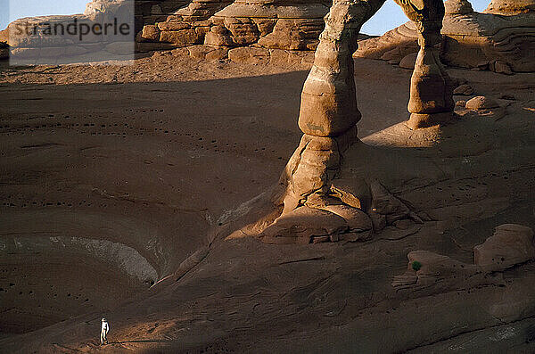 Delicate Arch  eine von 2.000 Felsformationen im Arches National Park  Utah  USA; Utah  Vereinigte Staaten von Amerika