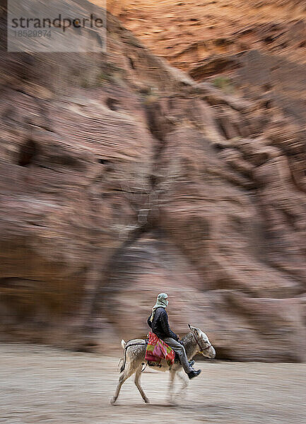 Mann reitet auf einem Esel umgeben von hohen Felsen in Petra; Petra  Jordanien