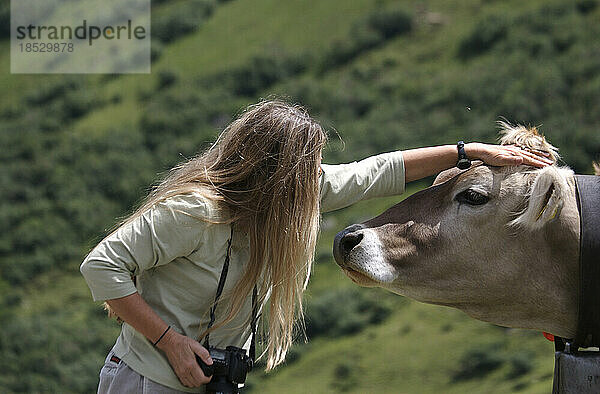 Fotograf streichelt eine Kuh auf dem Oberalpenpass in der Schweiz; Schweiz