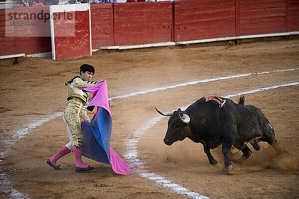 Bei einem Stierkampf in Mexiko-Stadt greift ein Stier einen Matador an; Mexiko-Stadt  Mexiko