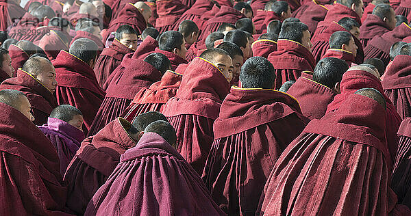 Buddhistische Mönche im diskutierenden Innenhof  einer schaut über die Schulter; Labrang  Amdo  China