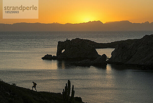 Wanderer wandert bei Sonnenuntergang entlang der Sea of Cortez; Sea of Cortez  Baja California  Mexiko