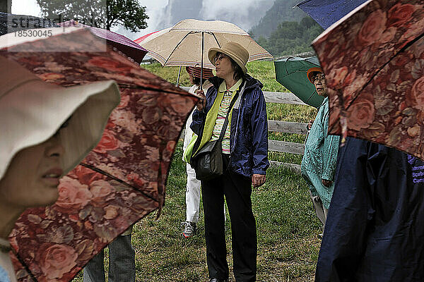 Japanische Touristen besuchen das Heidiland  die Heimat der fiktiven Figur Heidi aus dem Buch von Johanna Spryri. Es ist ein Ziel für einen idyllischen Blick auf die Schweizer Landschaft in den Alpen  selbst an einem regnerischen Tag  an dem man Regenschirme benötigt; Schweiz