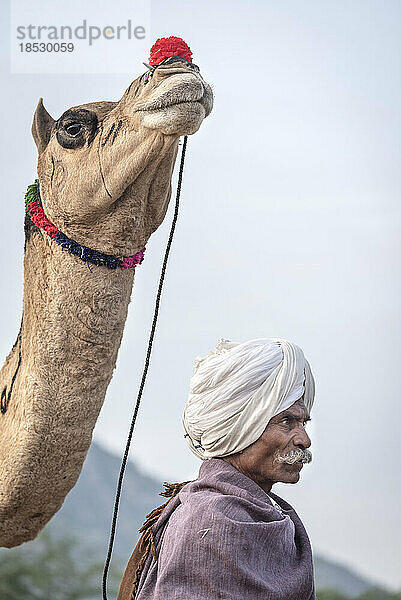 Kamelhändler steht mit seinem für die Pushkar Kamelmesse geschmückten Kamel; Pushkar  Rajasthan  Indien