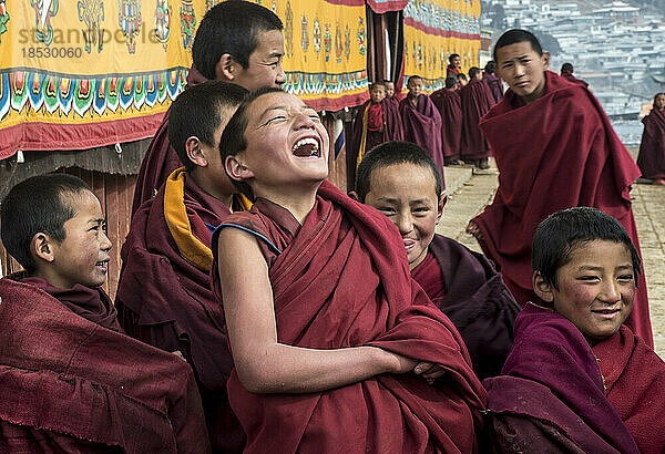 Junge buddhistische Mönche sitzen lachend zusammen; Langmusi  Amdo  China