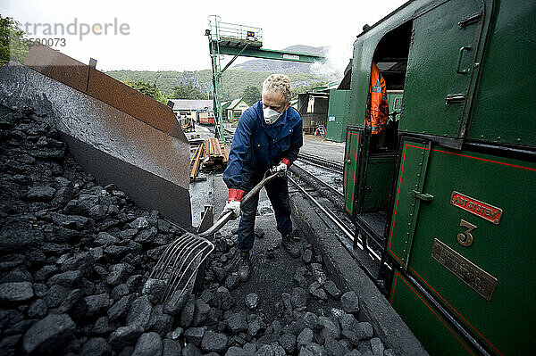 Mann schaufelt Kohle in einer Lokomotive auf dem Mount Snowdon in Wales  England; Mount Snowdon  Wales  England