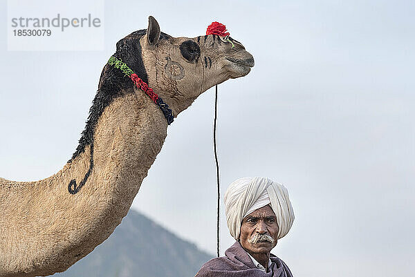 Kamelhändler steht mit seinem für die Pushkar Kamelmesse geschmückten Kamel; Pushkar  Rajasthan  Indien