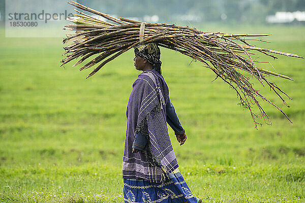 Frau in traditioneller Tracht  die ein Bündel Stöcke auf dem Kopf trägt; Ruanda