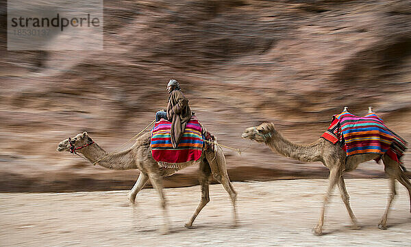 Mann reitet auf einem Kamel durch Petra; Petra  Jordanien