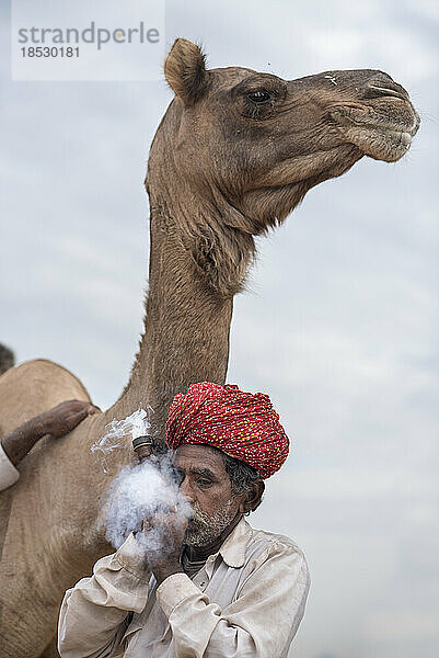 Indischer Mann raucht eine Chillum-Pfeife und steht neben seinem Kamel; Pushkar  Rajasthan  Indien