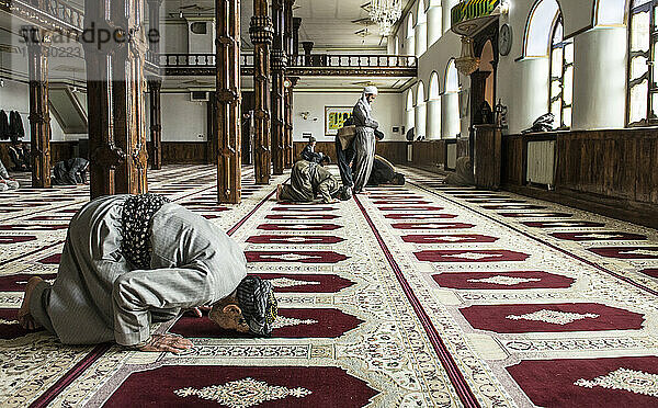 Mann beim Gebet in einer Moschee; Urmantakht  Kermanshah  Iran