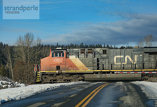 Zuglokomotive der Canadian National Railway auf Gleisen über einer Straße mit Schnee am Straßenrand; Langley  British Columbia  Kanada
