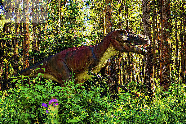 Skulptur eines Albertosaurus-Dinosauriers im Jurrasic Forest  einer Touristenattraktion mit animatronischen Dinosauriern  etwas außerhalb von Gibbons  Alberta; Alberta  Kanada