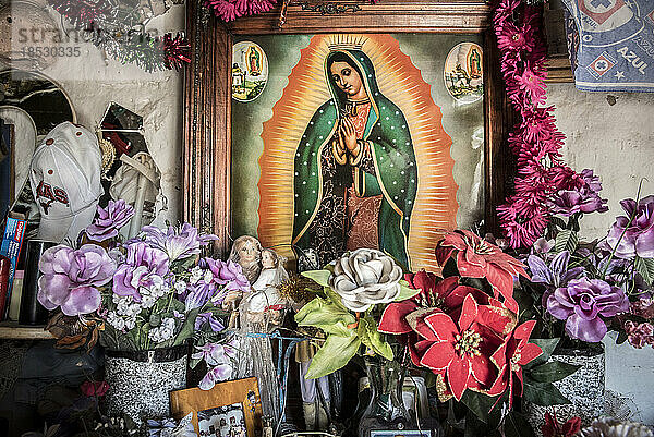 Römisch-katholischer Schrein in einem mexikanischen Haushalt  mit Blumen und einem Bild einer weiblichen Heiligen; Ejido Hidalgo  San Luis  Mexiko