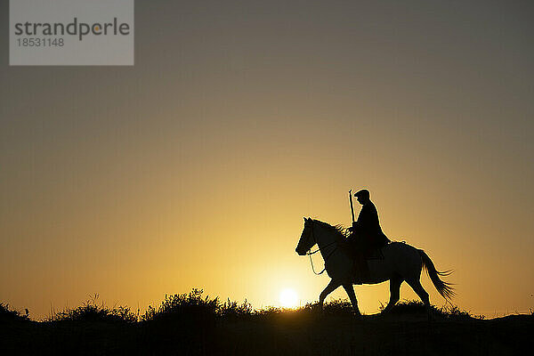 Pferd und Reiter als Silhouette bei Sonnenaufgang; Saintes-Maries-de-la-Mer  Frankreich