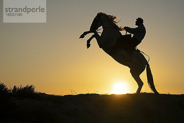 Pferd und Reiter in der Silhouette bei Sonnenaufgang; Saintes-Maries-de-la-Mer  Frankreich