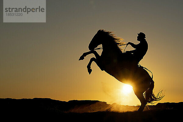 Pferd und Reiter in der Silhouette bei Sonnenaufgang; Saintes-Maries-de-la-Mer  Frankreich