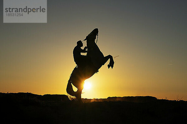 Pferd und Reiter in der Silhouette bei Sonnenaufgang; Saintes-Maries-de-la-Mer  Frankreich