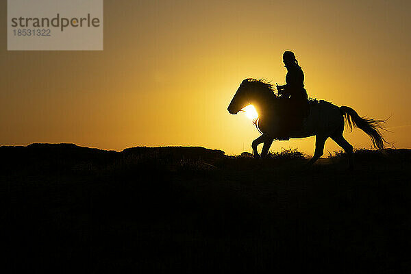 Pferd und Reiter als Silhouette bei Sonnenaufgang; Saintes-Maries-de-la-Mer  Frankreich