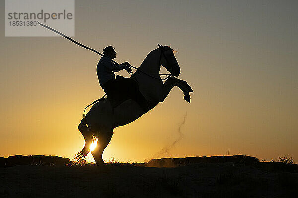 Pferd und Reiter in der Silhouette bei Sonnenaufgang; Saintes-Maries-de-la-Mer  Frankreich