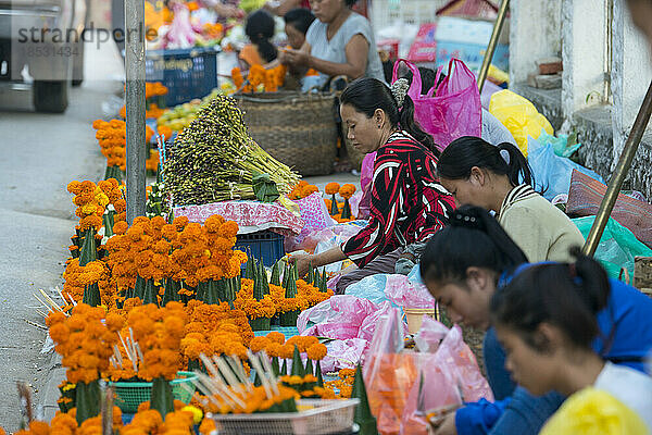 Frauen verkaufen Blumen auf einem Straßenmarkt; Luang Prabang  Laos