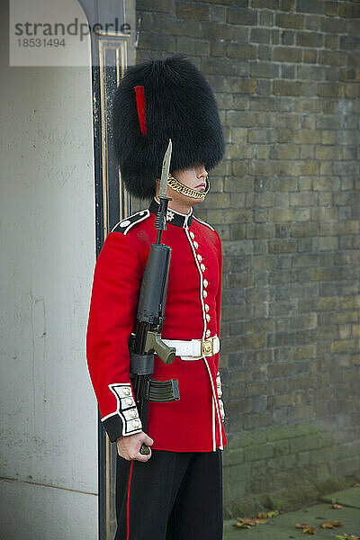 Mitglied der Garde der Königin  stramm stehend  auf seinem Posten vor dem Buckingham Palace; London  England