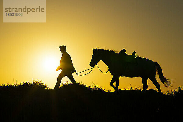 Mann führt Pferd  Silhouette bei Sonnenaufgang; Saintes-Maries-de-la-Mer  Frankreich