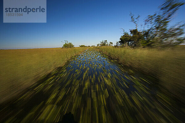 Wake of a safari airboat ride in Everglades National Park  Florida  USA; Florida  Vereinigte Staaten von Amerika